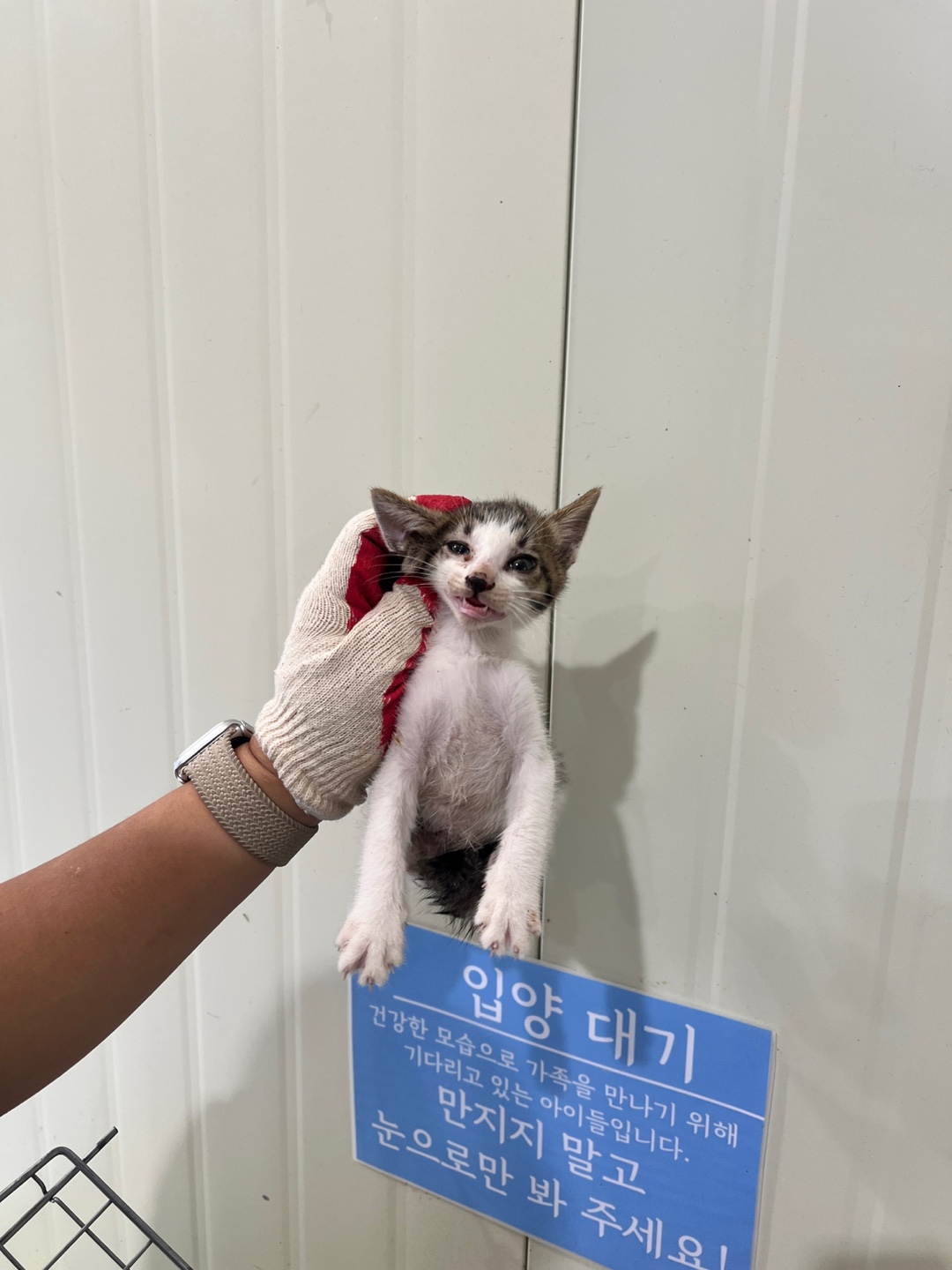 부산동물보호센터_426332202400488